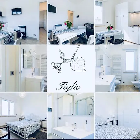 公寓 House In Campagna *